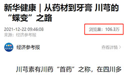 新华健康｜从药材到牙膏 川芎的“蝶变”之路