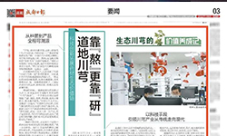 《成都日报》：科技创新拓展药材生态价值链 道地川芎靠“熬”更靠“研”