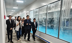 江西省副省长任珠峰一行莅临江西pg娱乐电子游戏app调研