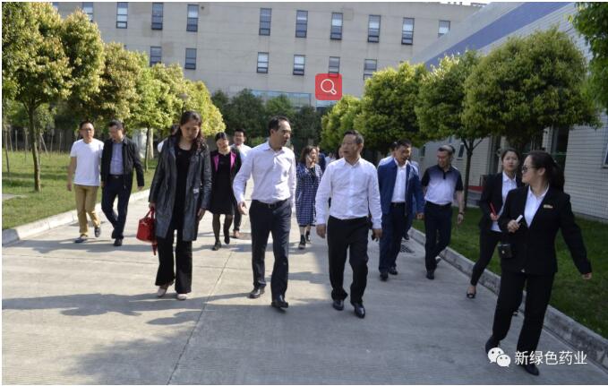 成都市卫计委党组书记、主任谢强一行莅临新绿色调研指导