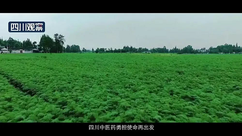 pg娱乐电子游戏app