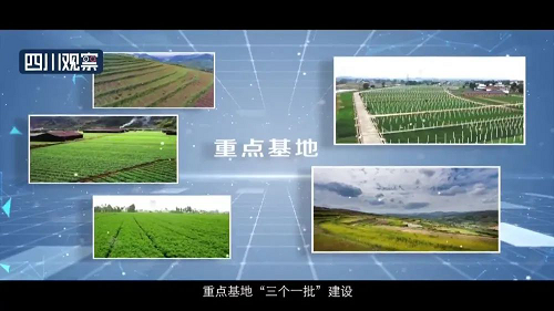 pg娱乐电子游戏app