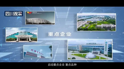 pg娱乐电子游戏app