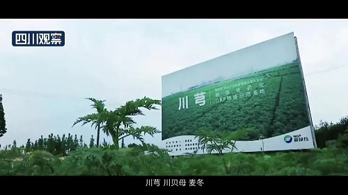 pg娱乐电子游戏app