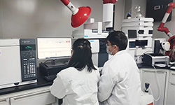 2021年度中医药十大学术进展发布，pg娱乐电子游戏app助力中药配方颗粒国家标准研究