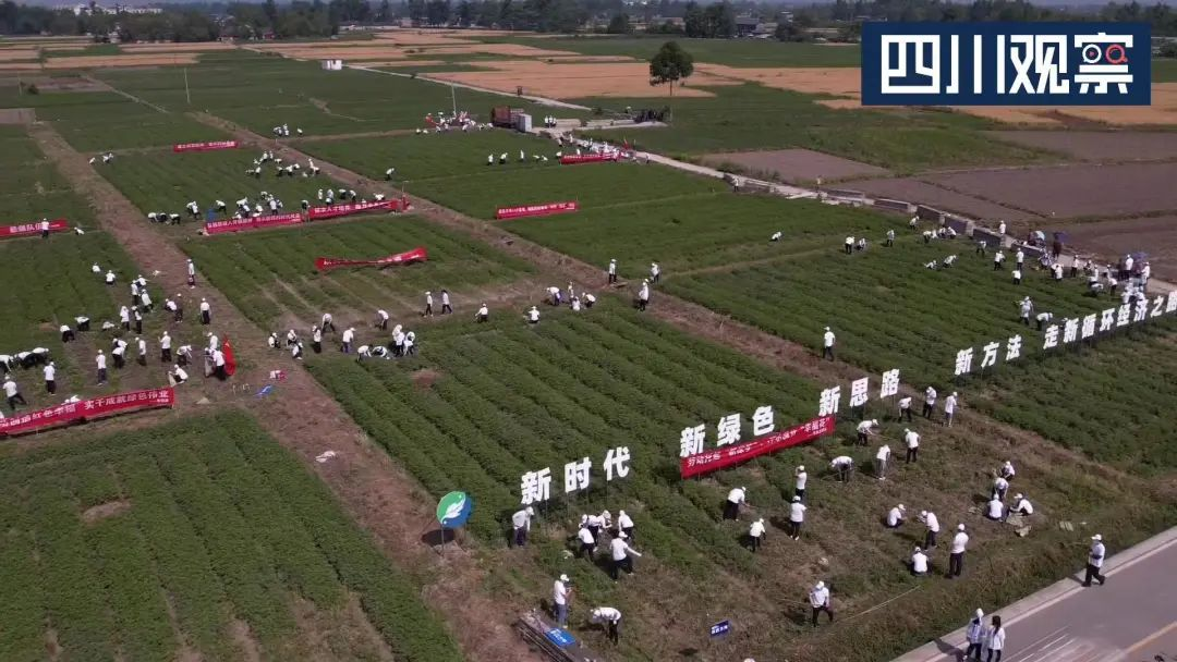 四川观察：脚有泥土心有光 这家企业忆苦思甜守初心