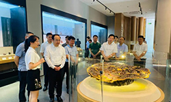 江西省生态环境厅党组书记、厅长徐延彬一行调研江西pg娱乐电子游戏app