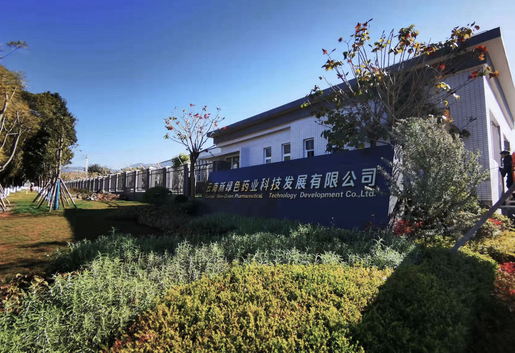 云南pg娱乐电子游戏app